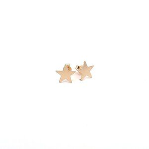 18K Gold Earrings Stud Star